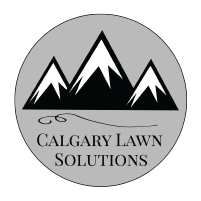 Dynamic Painting Inc photo 6