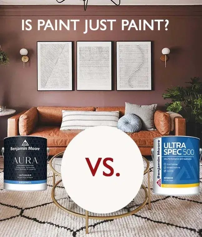 Is paint just paint or is there more, Aura VS. Ultra Spec